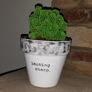 Meet your Posher, Melisa